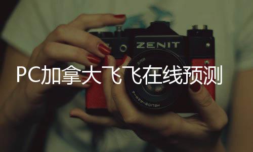 pc2.8预测网（pc预测平台）